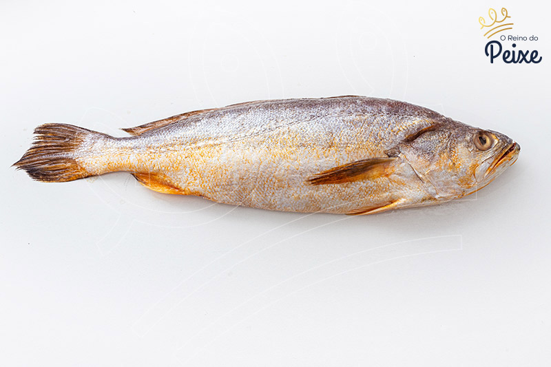 Pescada Branca